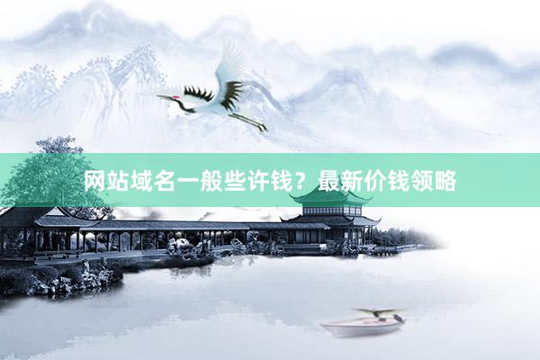 网站域名一般些许钱？最新价钱领略